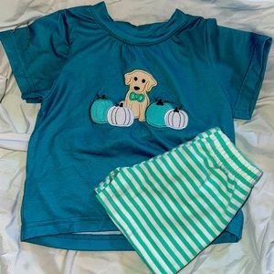 Boutique puppy pumpkin outfit